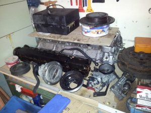 E36 Compact 323ti low budget projekt - 3er BMW - E36