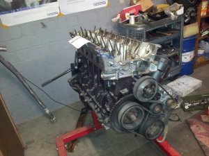 E36 Compact 323ti low budget projekt - 3er BMW - E36