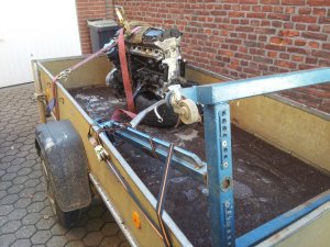 E36 Compact 323ti low budget projekt - 3er BMW - E36
