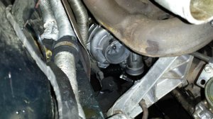 E36 Compact 323ti low budget projekt - 3er BMW - E36