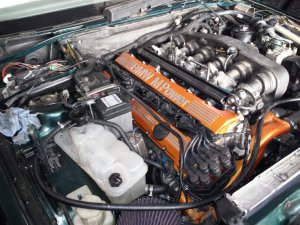 E36 Compact 323ti low budget projekt - 3er BMW - E36