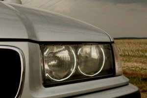 323i Limo on M5 Throwing Stars - 3er BMW - E36