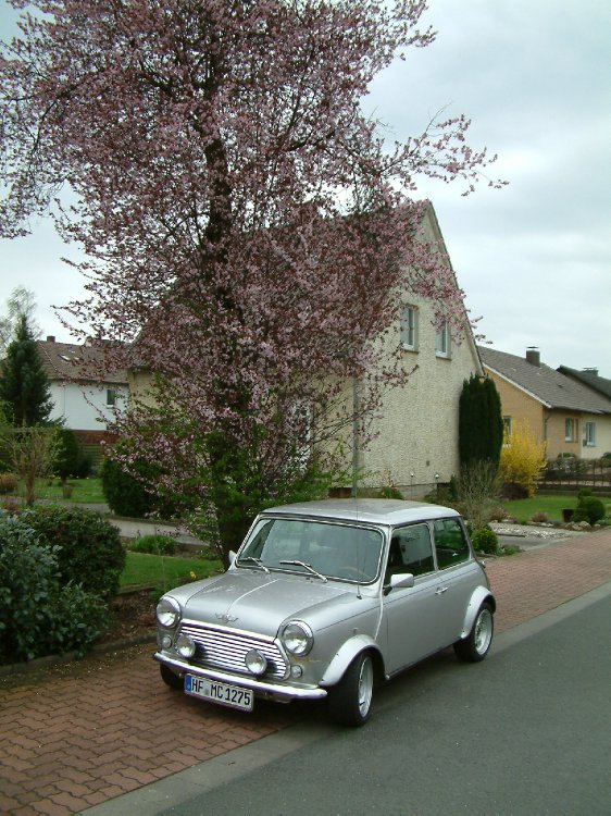 Rover Mini Cooper 1.3i "Silverbullet" - Fremdfabrikate