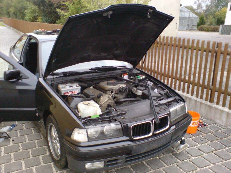 BMW E36 316i Compact Cosmosschwarz - Erstes Auto - 3er BMW - E36