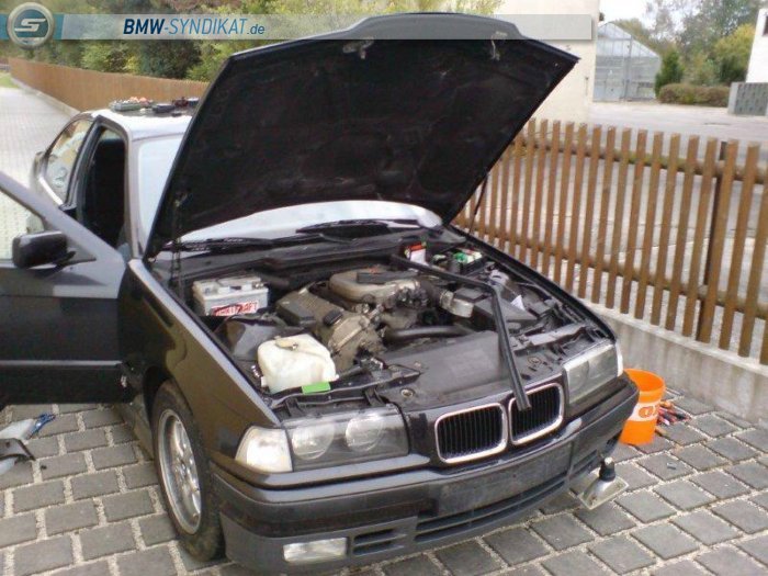 BMW E36 316i Compact Cosmosschwarz - Erstes Auto - 3er BMW - E36