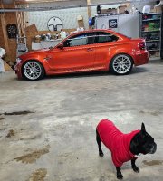 E82 1er M Coupe� in Valencia Orange - 1er BMW - E81 / E82 / E87 / E88 - 20260611_153924.jpg