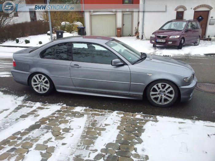 Pandem´d 330ci goes BRG - 3er BMW - E46
