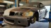 330ci Rocketbunny #makepurplegreatagain - 3er BMW - E46 - 20170330_191109.jpg