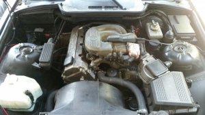 Very Low Budget Cabrio (getauscht gegen e38) - 3er BMW - E36
