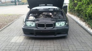 Very Low Budget Cabrio (getauscht gegen e38) - 3er BMW - E36 Very Low Budget Cabrio (getauscht gegen e38) - 3er BMW - E36