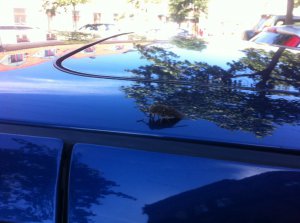 E36 SEDAN - 3er BMW - E36