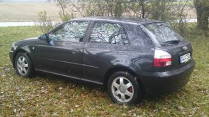Audi A3 8L 1.8er - Fremdfabrikate