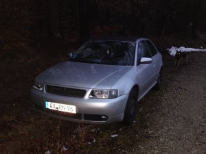 Audi A3 8L 1.8er - Fremdfabrikate