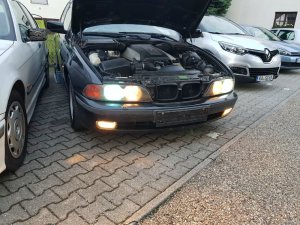 e36 m62b44 Alpinweiss III - 3er BMW - E36