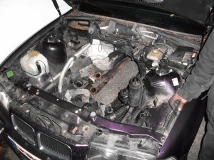 E36 DaytonaViolett WIRD ZERLEGT - 3er BMW - E36