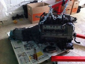 BMW e39 540i *White is beautiful* UPDATE SEITE 5/6 - 5er BMW - E39 BMW e39 540i *White is beautiful* UPDATE SEITE 5/6 - 5er BMW - E39