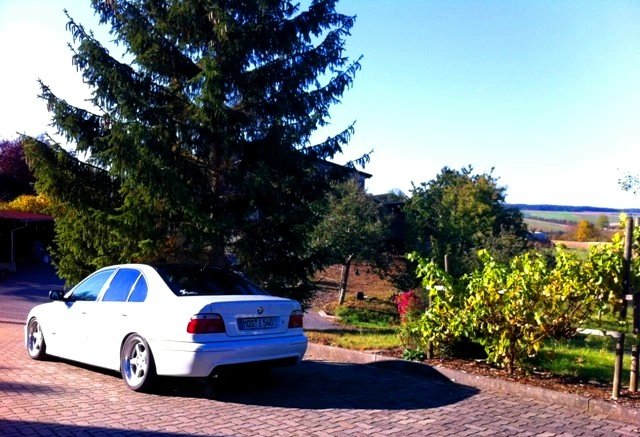 BMW e39 540i *White is beautiful* UPDATE SEITE 5/6 - 5er BMW - E39