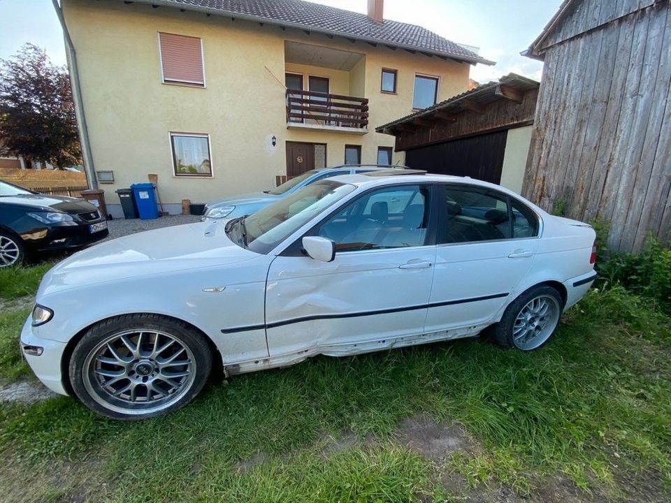 e46 white pearl - 3er BMW - E46