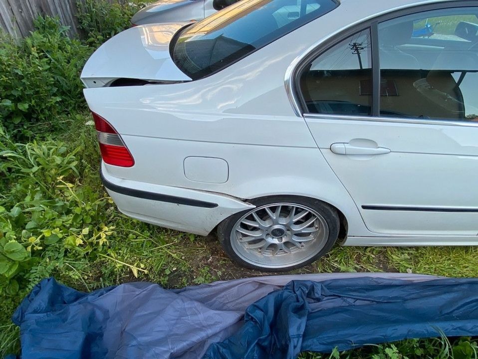 e46 white pearl - 3er BMW - E46