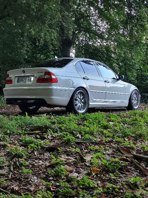 e46 white pearl - 3er BMW - E46