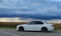 e38 Alpinwei� 2