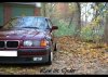 325i e36 Classic Convertible *OEM Navi, Pappel* - 3er BMW - E36 - IMG_5194 (1).jpg