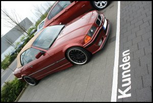 325i e36 Classic Convertible *OEM Navi, Pappel* - 3er BMW - E36