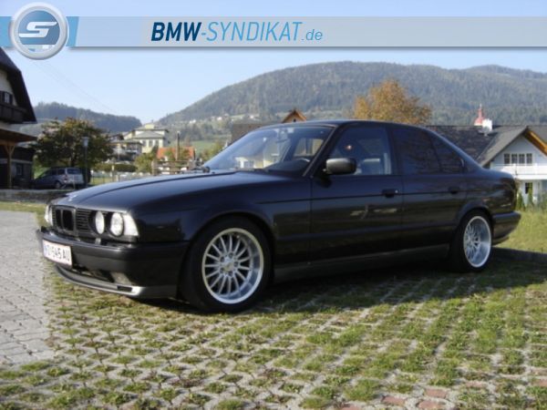 E34 M5 3,6 - 5er BMW - E34 - DSC03525.JPG