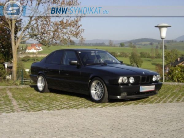 E34 M5 3,6 - 5er BMW - E34 - DSC03528.1JPG.jpg