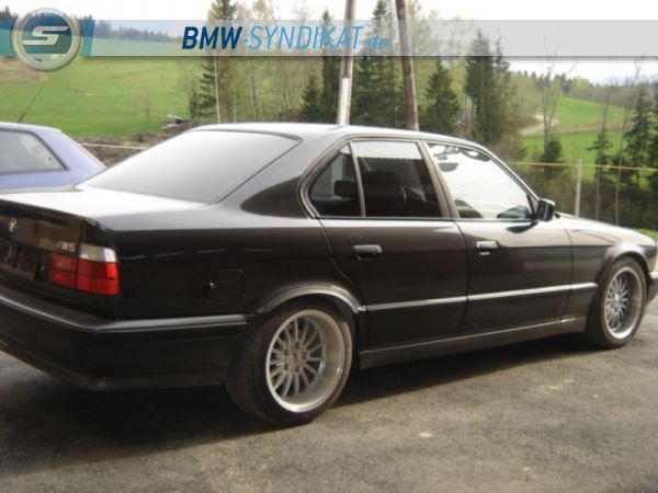 E34 M5 3,6 - 5er BMW - E34 - DSC02886.JPG