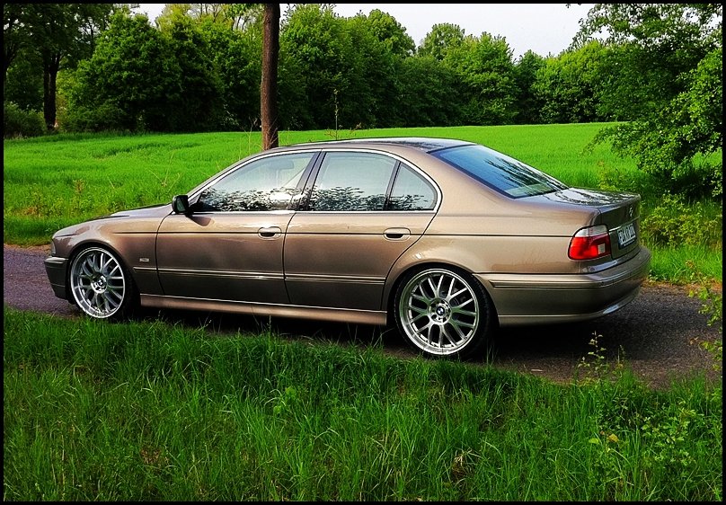 Golden Pearl - 525ia - ASA AR 1 - 20" - 5er BMW - E39