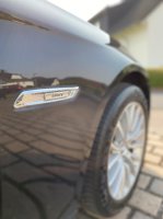 "F10, 530d LuxuryLine" - 5er BMW - F10 / F11 / F07 - IMG_4087.jpg