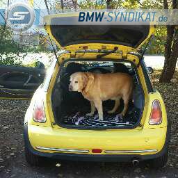 MINI One R50 - Fotostories weiterer BMW Modelle MINI One R50 - Fotostories weiterer BMW Modelle