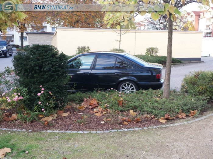 e39 528i Buma - 5er BMW - E39