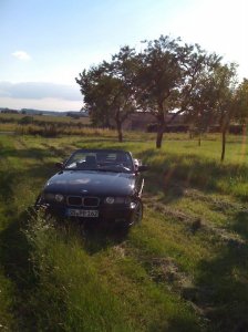 Mein Traumauto - 3er BMW - E36