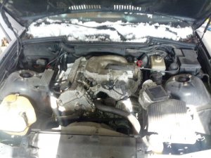 318i Sport Edition - 3er BMW - E36