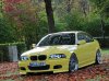 Dakargelbes e46 Coupe - 3er BMW - E46 - IMG_9599a.jpg