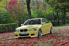 Dakargelbes e46 Coupe - 3er BMW - E46 - IMG_9599abcde.jpg