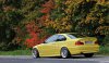 Dakargelbes e46 Coupe - 3er BMW - E46 - 2017_09_30_0035ab.jpg