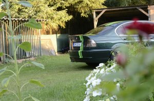 Meine Elly...320i Limo - 3er BMW - E46