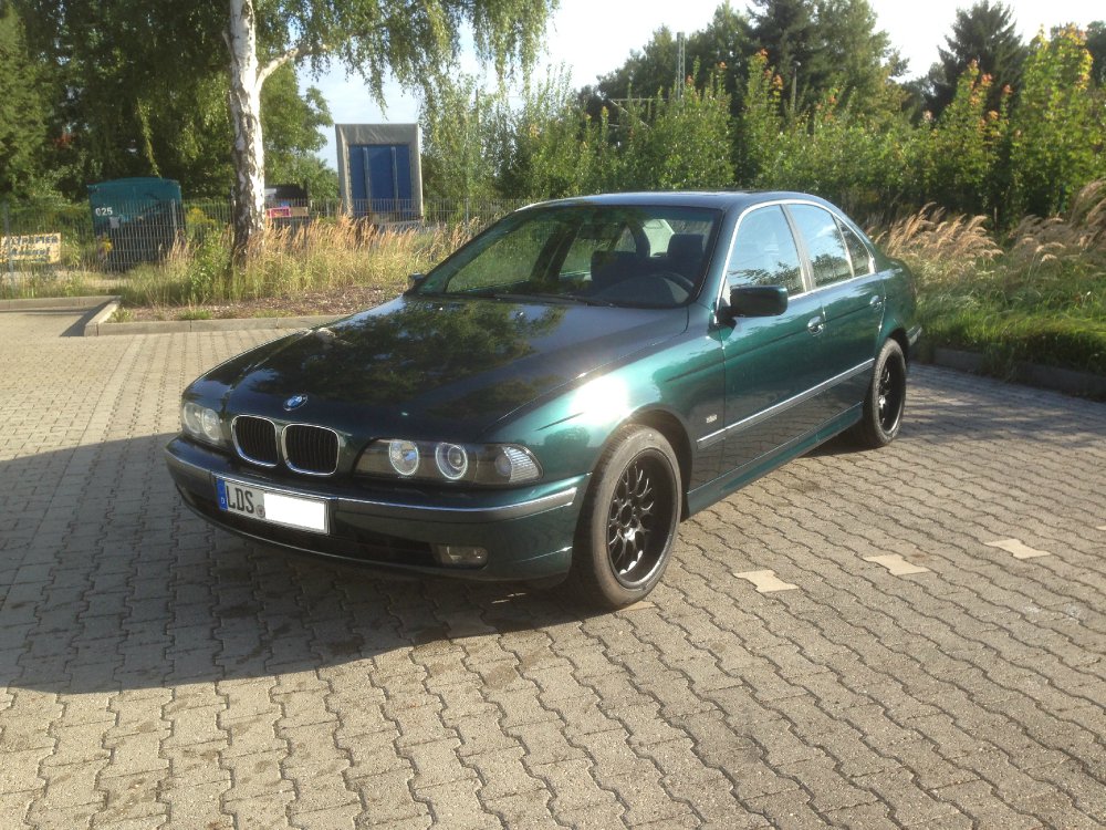 Dailys Green 5 - 5er BMW - E39