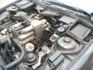 Grn mu Mann haben !!! - 3er BMW - E30