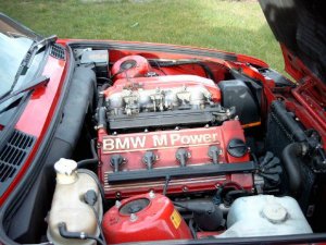 Grn mu Mann haben !!! - 3er BMW - E30