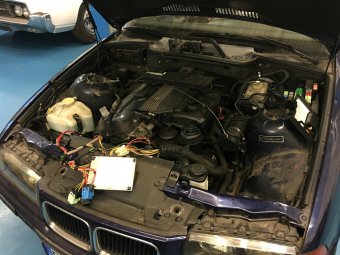 E36 318i Cabrio goes M52B28tu *330i Bremse VA+HA* - 3er BMW - E36