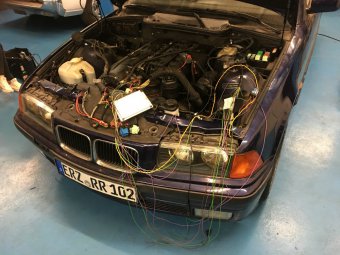 E36 318i Cabrio goes M52B28tu *330i Bremse VA+HA* - 3er BMW - E36