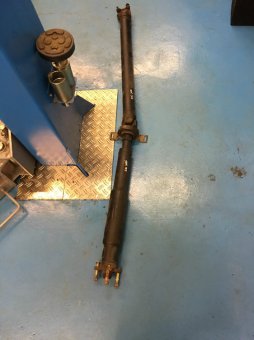 E36 318i Cabrio goes M52B28tu *330i Bremse VA+HA* - 3er BMW - E36
