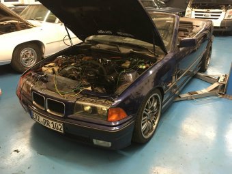 E36 318i Cabrio goes M52B28tu *330i Bremse VA+HA* - 3er BMW - E36