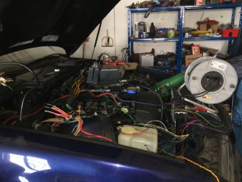 E36 318i Cabrio goes M52B28tu *330i Bremse VA+HA* - 3er BMW - E36