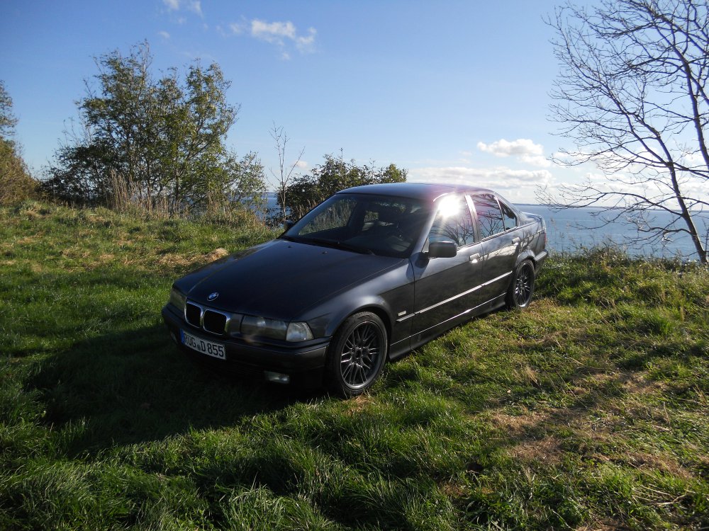 Meine 323i Limo - 3er BMW - E36