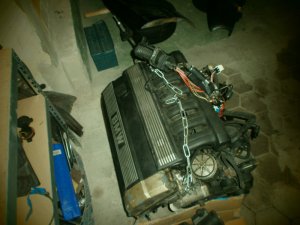 E30 320i 2-Trer Delphin Metallic - 3er BMW - E30